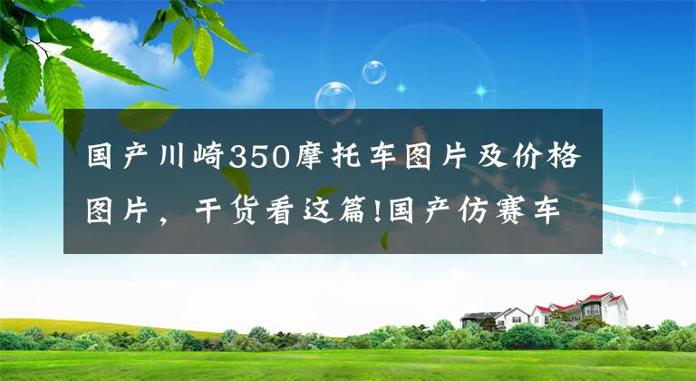 国产川崎350摩托车图片及价格图片，干货看这篇!国产仿赛车型，小忍者350值得购买吗