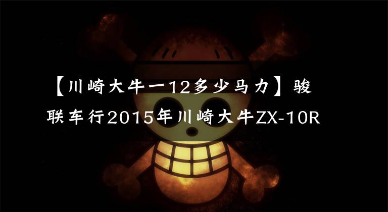 【川崎大牛一12多少马力】骏联车行2015年川崎大牛ZX-10R（ABS版）