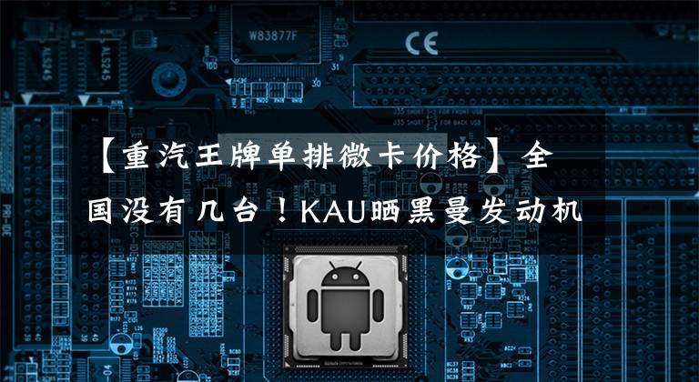 【重汽王牌单排微卡价格】全国没有几台！KAU晒黑曼发动机侯光卡