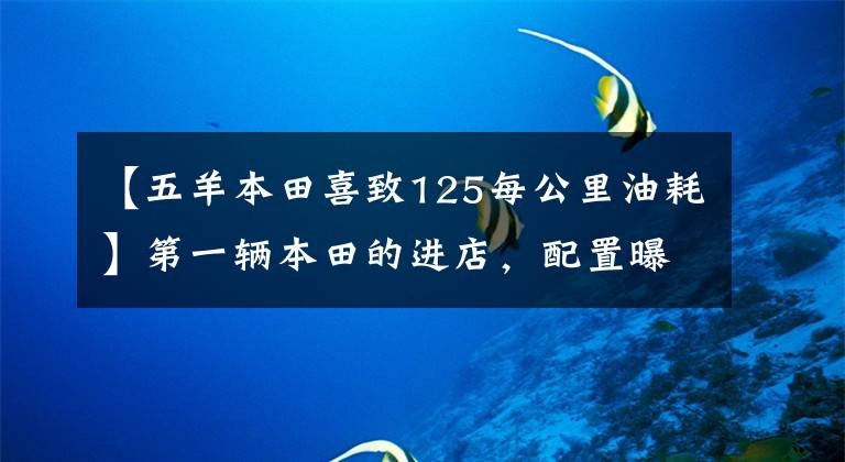 【五羊本田喜致125每公里油耗】第一辆本田的进店，配置曝光，油耗6升，超过逍客的空间，或销售14万韩元