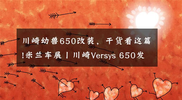 川崎幼兽650改装，干货看这篇!米兰车展丨川崎Versys 650发布新款 全彩仪表 牵引力控制