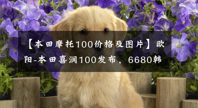 【本田摩托100价格及图片】欧阳-本田喜润100发布，6680韩元，生活美好