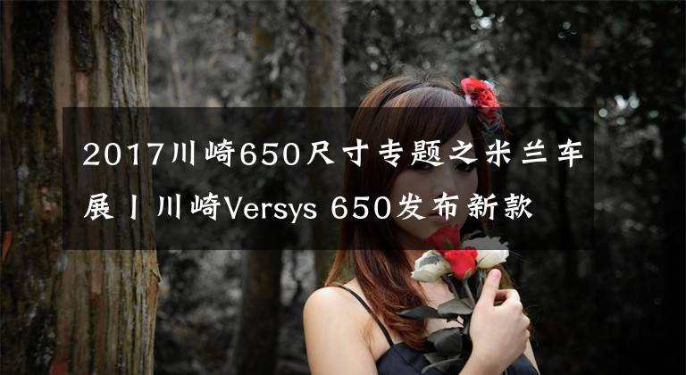 2017川崎650尺寸专题之米兰车展丨川崎Versys 650发布新款 全彩仪表 牵引力控制