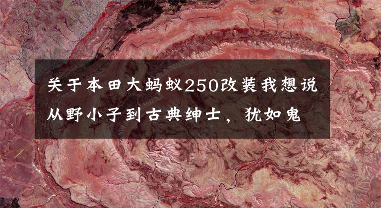 关于本田大蚂蚁250改装我想说从野小子到古典绅士，犹如鬼斧神工般的手艺