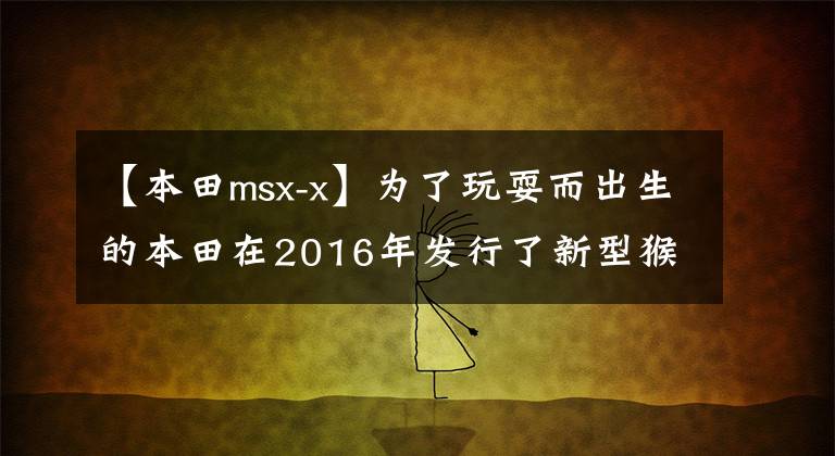 【本田msx-x】为了玩耍而出生的本田在2016年发行了新型猴子MSX  125