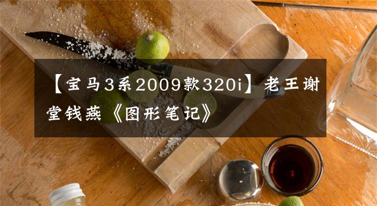 【宝马3系2009款320i】老王谢堂钱燕《图形笔记》