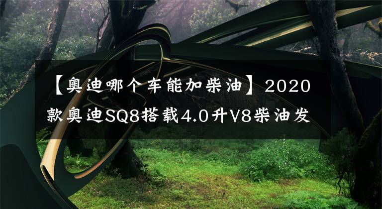 【奥迪哪个车能加柴油】2020款奥迪SQ8搭载4.0升V8柴油发动机，429马力，售价102900欧元