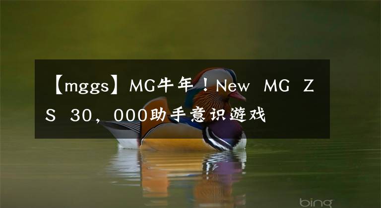 【mggs】MG牛年！New MG ZS 30，000助手意识游戏