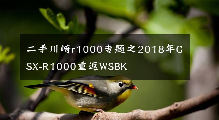 二手川崎r1000专题之2018年GSX-R1000重返WSBK