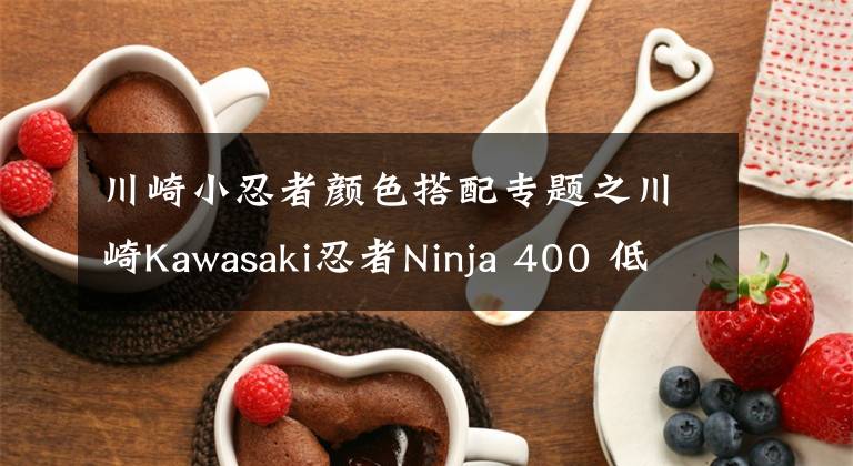 川崎小忍者颜色搭配专题之川崎Kawasaki忍者Ninja 400 低调换新装！入门小忍新色出阵