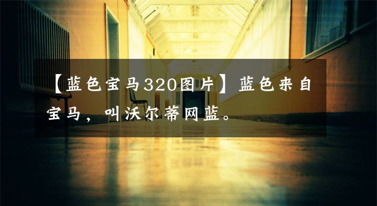 【蓝色宝马320图片】蓝色来自宝马，叫沃尔蒂网蓝。