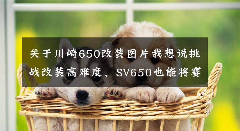 关于川崎650改装图片我想说挑战改装高难度，SV650也能将赛车美学发挥到极致