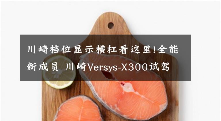 川崎档位显示横杠看这里!全能新成员 川崎Versys-X300试驾体验