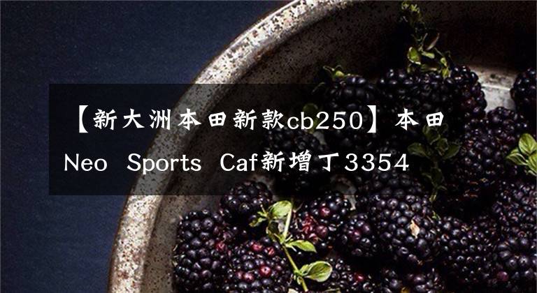 【新大洲本田新款cb250】本田Neo Sports Caf新增丁3354CB250R