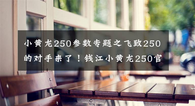 小黄龙250参数专题之飞致250的对手来了！钱江小黄龙250官方售价公布1.78万