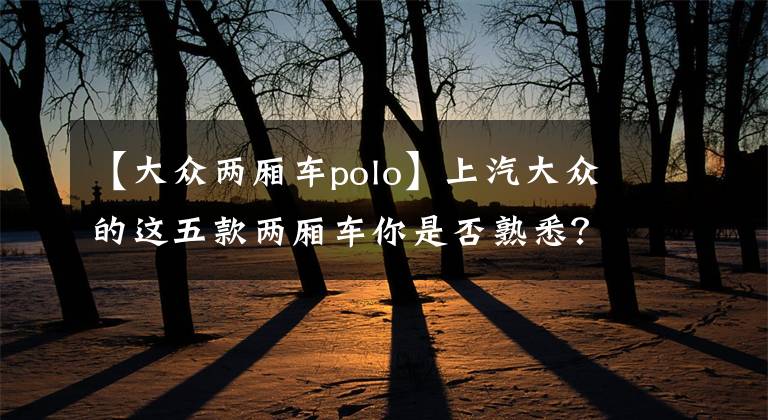 【大众两厢车polo】上汽大众的这五款两厢车你是否熟悉？