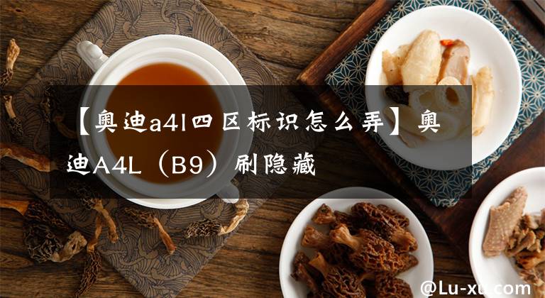 【奥迪a4l四区标识怎么弄】奥迪A4L（B9）刷隐藏