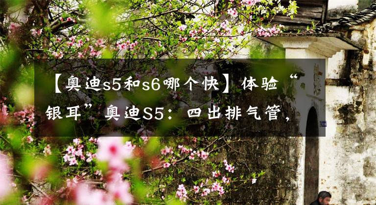 【奥迪s5和s6哪个快】体验“银耳”奥迪S5：四出排气管，3.0T爆发500N·m，5S破百