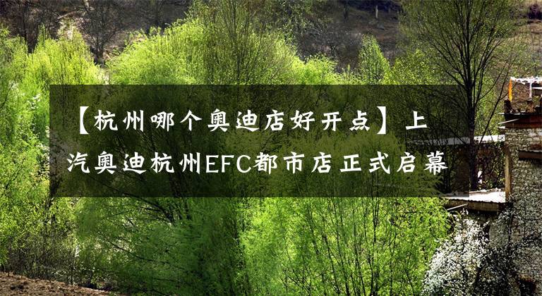 【杭州哪个奥迪店好开点】上汽奥迪杭州EFC都市店正式启幕