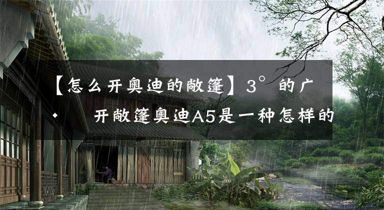 【怎么开奥迪的敞篷】3°的广州 开敞篷奥迪A5是一种怎样的体验？