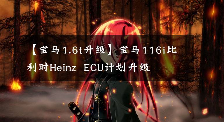 【宝马1.6t升级】宝马116i比利时Heinz  ECU计划升级