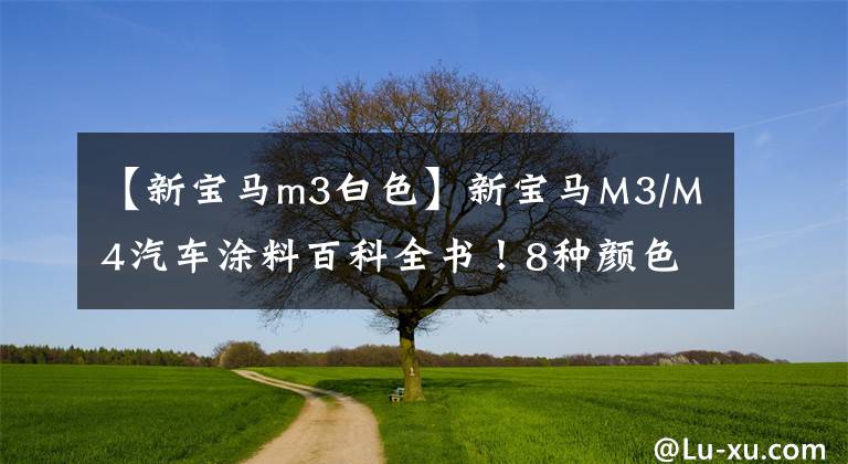 【新宝马m3白色】新宝马M3/M4汽车涂料百科全书！8种颜色免费选择，8种定制汽车涂料