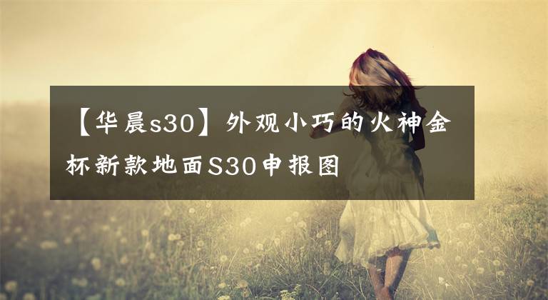 【华晨s30】外观小巧的火神金杯新款地面S30申报图