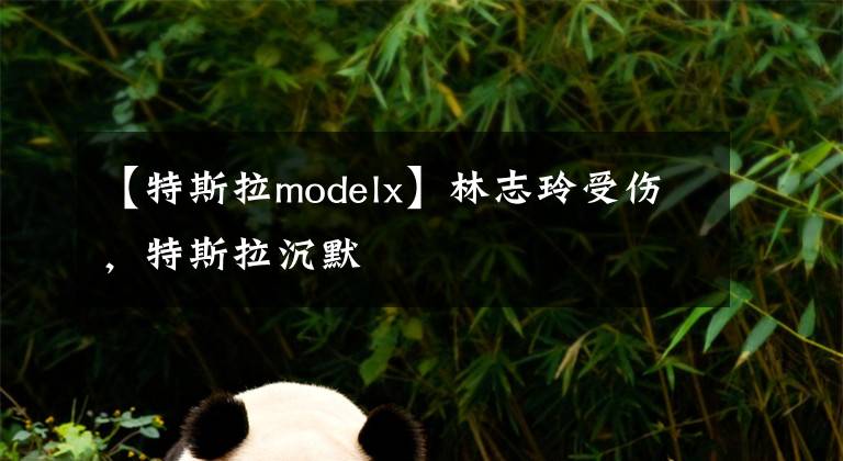 【特斯拉modelx】林志玲受伤，特斯拉沉默