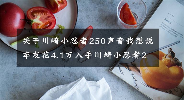 关于川崎小忍者250声音我想说车友花4.1万入手川崎小忍者250，高速给力起速慢，半年后想换车