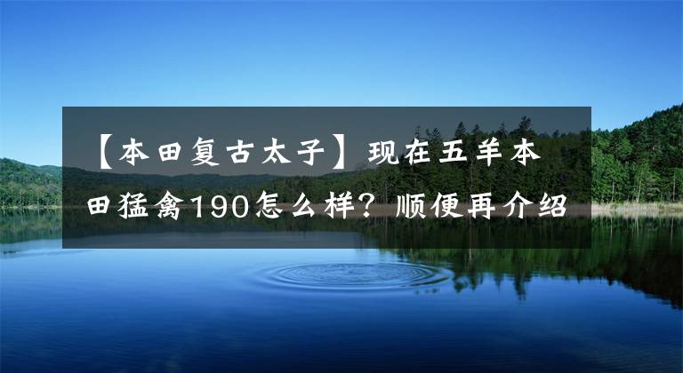 【本田复古太子】现在五羊本田猛禽190怎么样？顺便再介绍几款复古巡航太子车