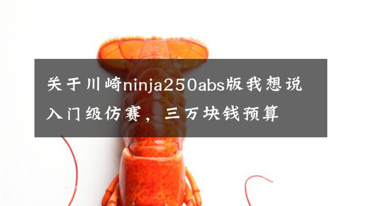 关于川崎ninja250abs版我想说入门级仿赛，三万块钱预算