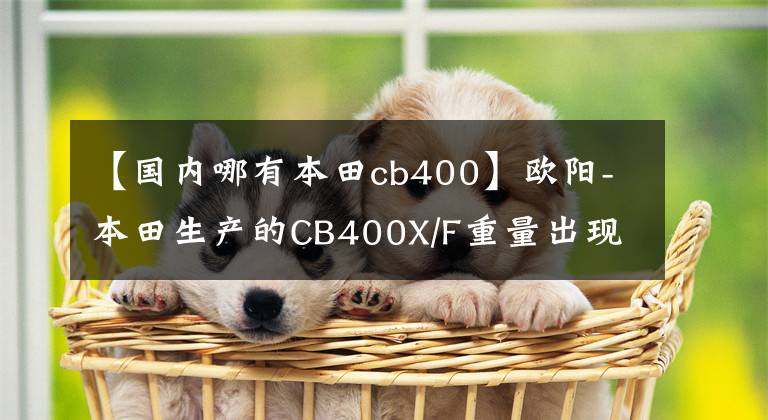 【国内哪有本田cb400】欧阳-本田生产的CB400X/F重量出现在上海国际车展上，预计售价将更新