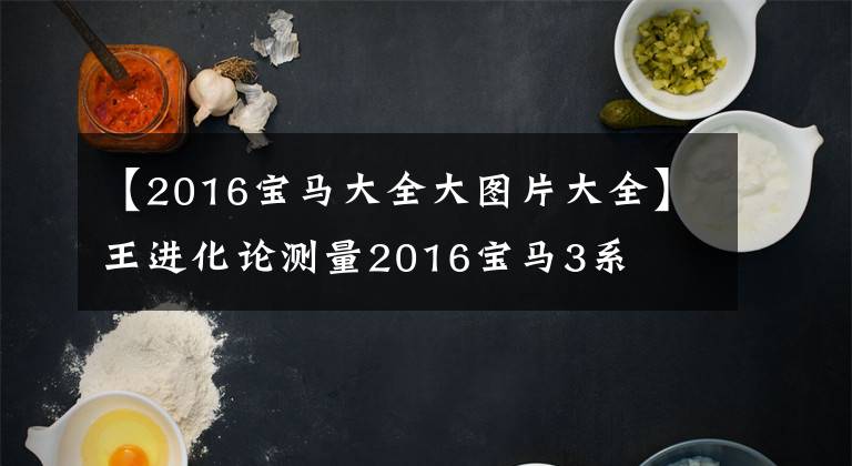 【2016宝马大全大图片大全】王进化论测量2016宝马3系