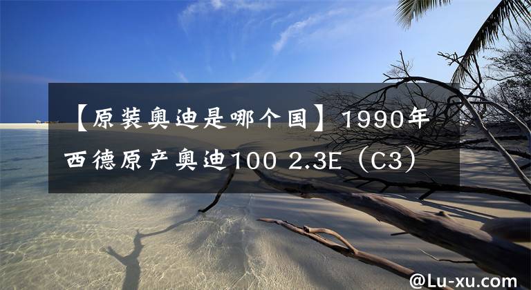 【原装奥迪是哪个国】1990年西德原产奥迪100 2.3E（C3）