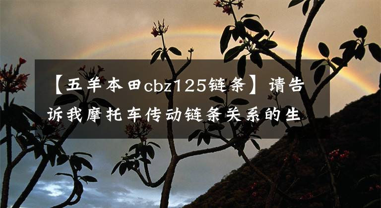 【五羊本田cbz125链条】请告诉我摩托车传动链条关系的生命、维护和调整方法。