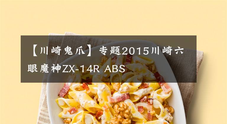 【川崎鬼爪】专题2015川崎六眼魔神ZX-14R ABS