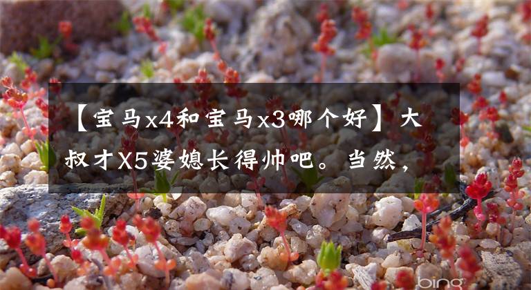 【宝马x4和宝马x3哪个好】大叔才X5婆媳长得帅吧。当然，您选择了这辆汽车宝马X3 MX4 M技术分析。