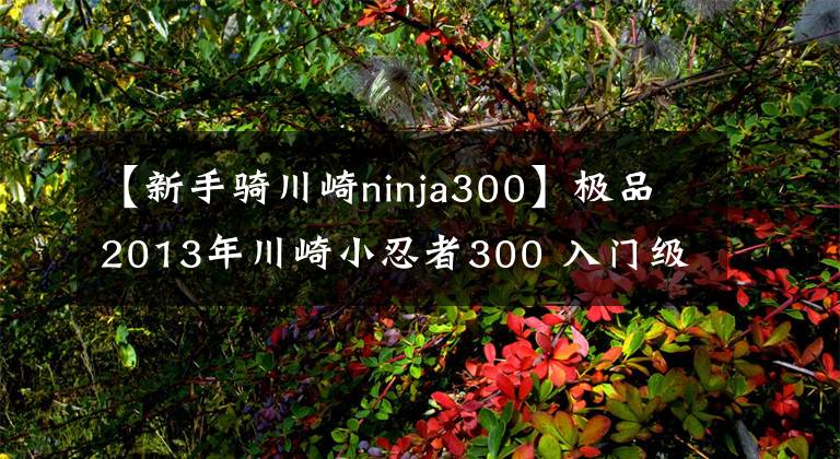 【新手骑川崎ninja300】极品2013年川崎小忍者300 入门级机车
