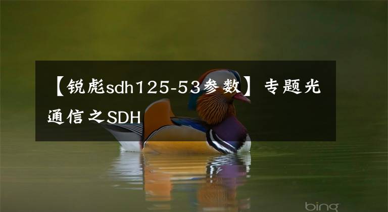 【锐彪sdh125-53参数】专题光通信之SDH