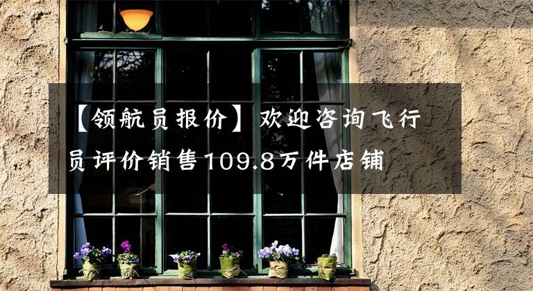 【领航员报价】欢迎咨询飞行员评价销售109.8万件店铺