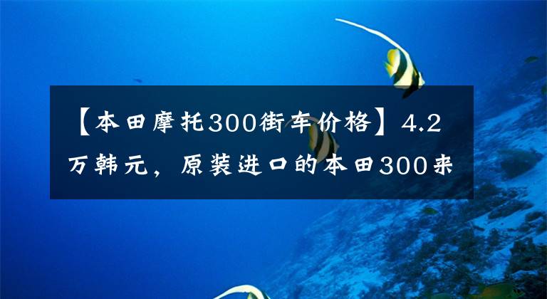 【本田摩托300街车价格】4.2万韩元，原装进口的本田300来了！汽车重量145公斤，配置明亮