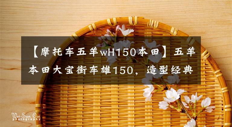 【摩托车五羊wH150本田】五羊本田大宝街车雄150，造型经典，续航450公里，销售8800元。