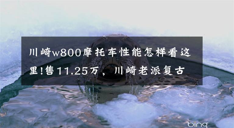 川崎w800摩托车性能怎样看这里!售11.25万，川崎老派复古W800，配钢丝轮+毛毛虫坐垫，马力48匹