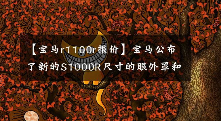 【宝马r1100r报价】宝马公布了新的S1000R尺寸的眼外罩和面部价格为14368欧元。