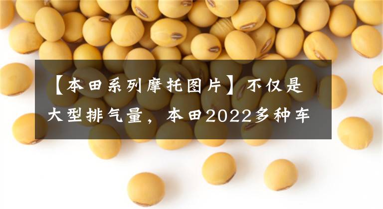 【本田系列摩托图片】不仅是大型排气量，本田2022多种车型也是新款