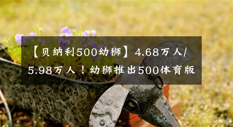 【贝纳利500幼狮】4.68万人/5.98万人！幼狮推出500体育版/800越野版