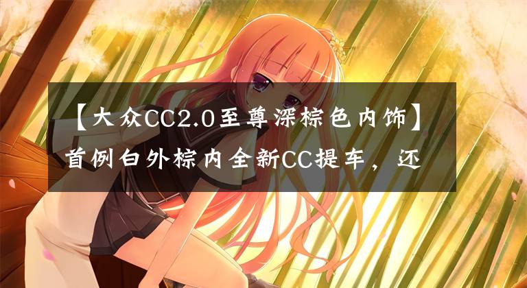 【大众CC2.0至尊深棕色内饰】首例白外棕内全新CC提车，还好没加价！无框车门需要时间适应！