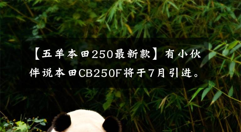 【五羊本田250最新款】有小伙伴说本田CB250F将于7月引进。可靠吗？