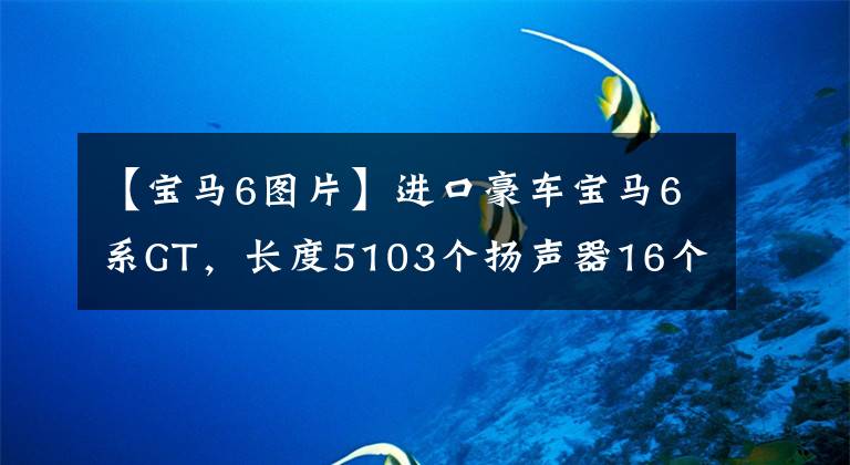 【宝马6图片】进口豪车宝马6系GT，长度5103个扬声器16个，2.0T  258马力，油6.8个。