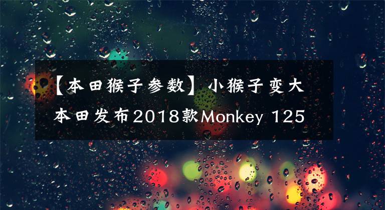 【本田猴子参数】小猴子变大 本田发布2018款Monkey 125